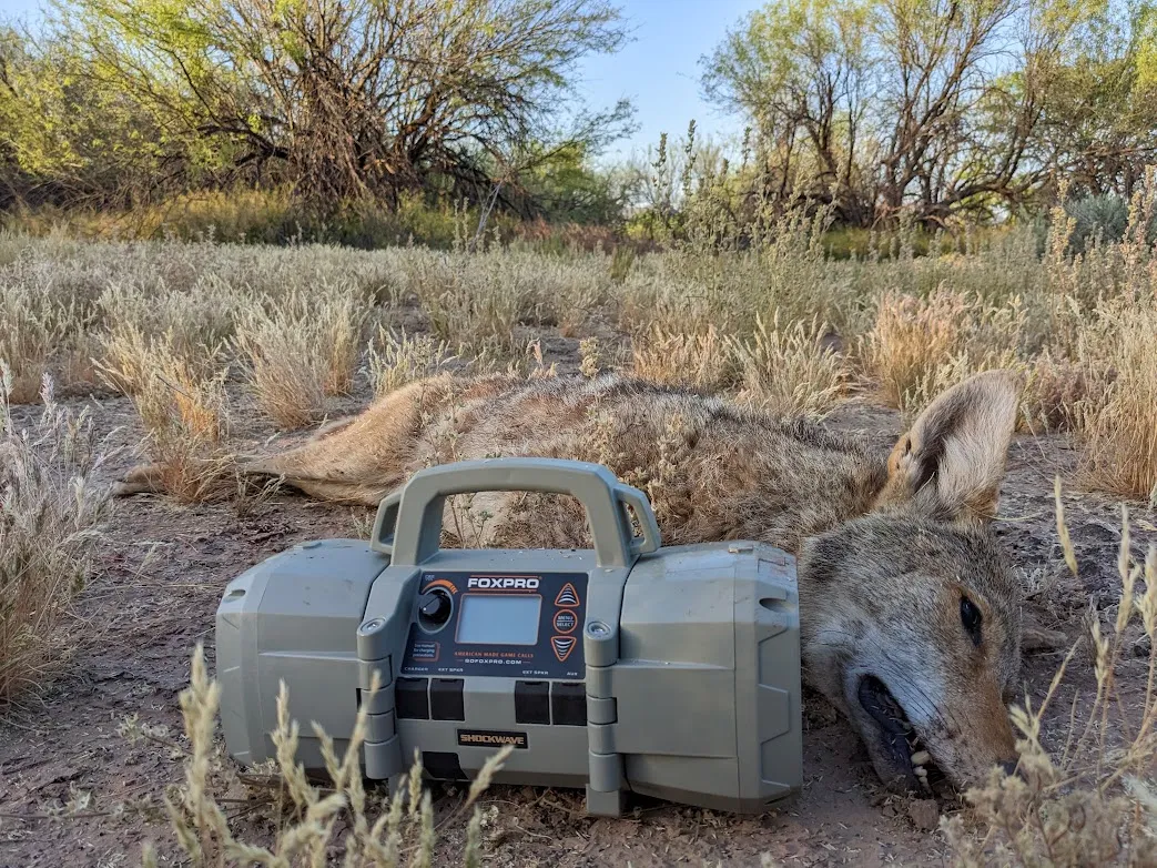 Hunt photo
